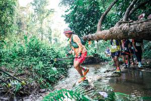 BIB: 
                            <button type="button" onclick="openModal(25456971)" class="btn btn-primary btn-sm float-right btn-popup" data-toggle="modal" data-target=".modal-high-quality">
                        <i class="fas fa-shopping-cart"></i> Add to Cart
                    </button>
                                            <button type="button" onclick="isThisMe(25456971, true)" class="btn btn-success btn-sm float-right btn-popup btn-isme hidden" data-toggle="tooltip" data-placement="bottom" title="นี่คือรูปของคุณใช่ไหม คลิกที่นี่เพื่อเอาเข้าอัลบั้ม">
                        <i class="fas fa-plus"></i> Add to album
                    </button>
                    <button type="button" onclick="isThisMe(25456971, false)" class="btn btn-warning btn-sm float-right btn-popup btn-isnotme hidden">
                        <i class="fas fa-ban"></i> Remove from album
                    </button>